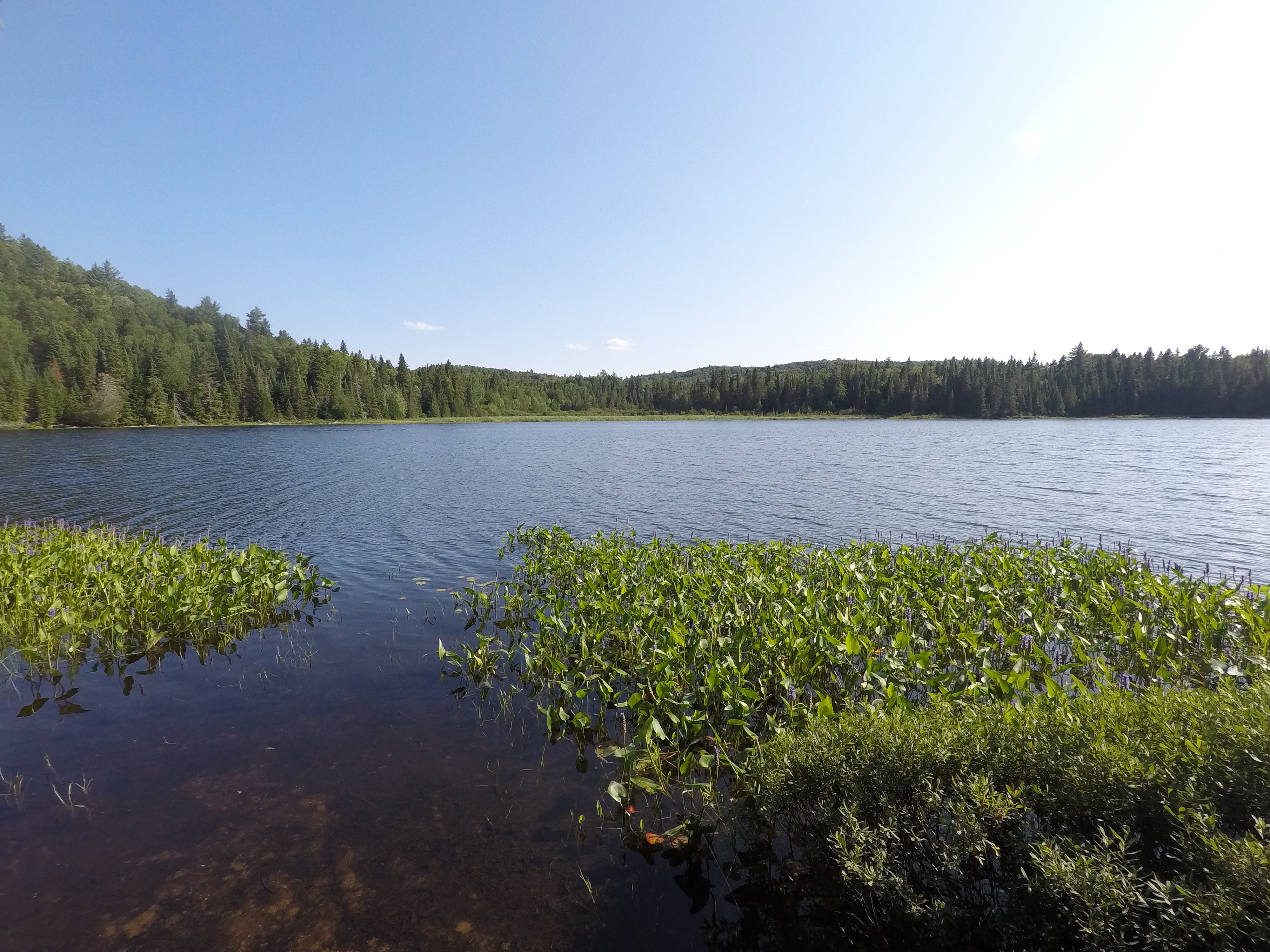 Tattler Lake Day 3 Video 